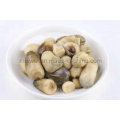 Champignons en pates de champignons 425g